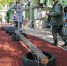 В Ялте прошла военно-спортивная эстафета - Южная Газета