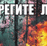 Берегите лес! - Администрация г. Ялта