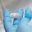 О проведении «горячей линии» по вакцинопрофилактике - Администрация г. Ялта