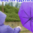 Штормовое предупреждение об опасных гидрометеорологических явлениях на 27-30 ноября 2021 года - Администрация г. Ялта
