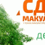 Весной в Крыму стартует Всероссийский эко-марафон ПЕРЕРАБОТКА «Сдай макулатуру – спаси дерево» - Администрация г. Ялта