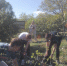 You are viewing the image with filename 11.jpg - ГПА КФУ