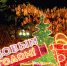 С Новым Годом! - Городской совет